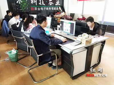 輸血變?cè)煅?衡陽(yáng)市雁峰區(qū)以計(jì)算機(jī)技術(shù)培訓(xùn)為抓手，走深走實(shí)產(chǎn)業(yè)扶貧路